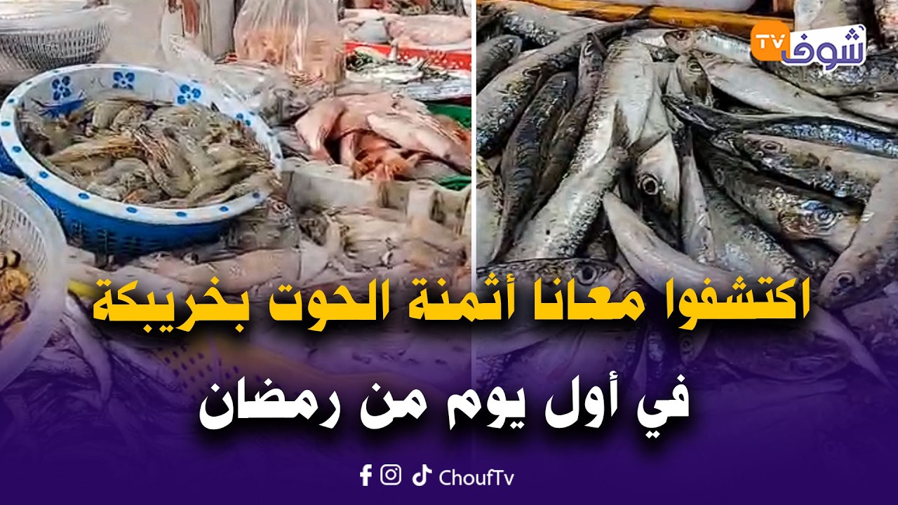 مباشرة من خريبكة: اكتشفوا معانا أثمنة الحوت في أول يوم من رمضان