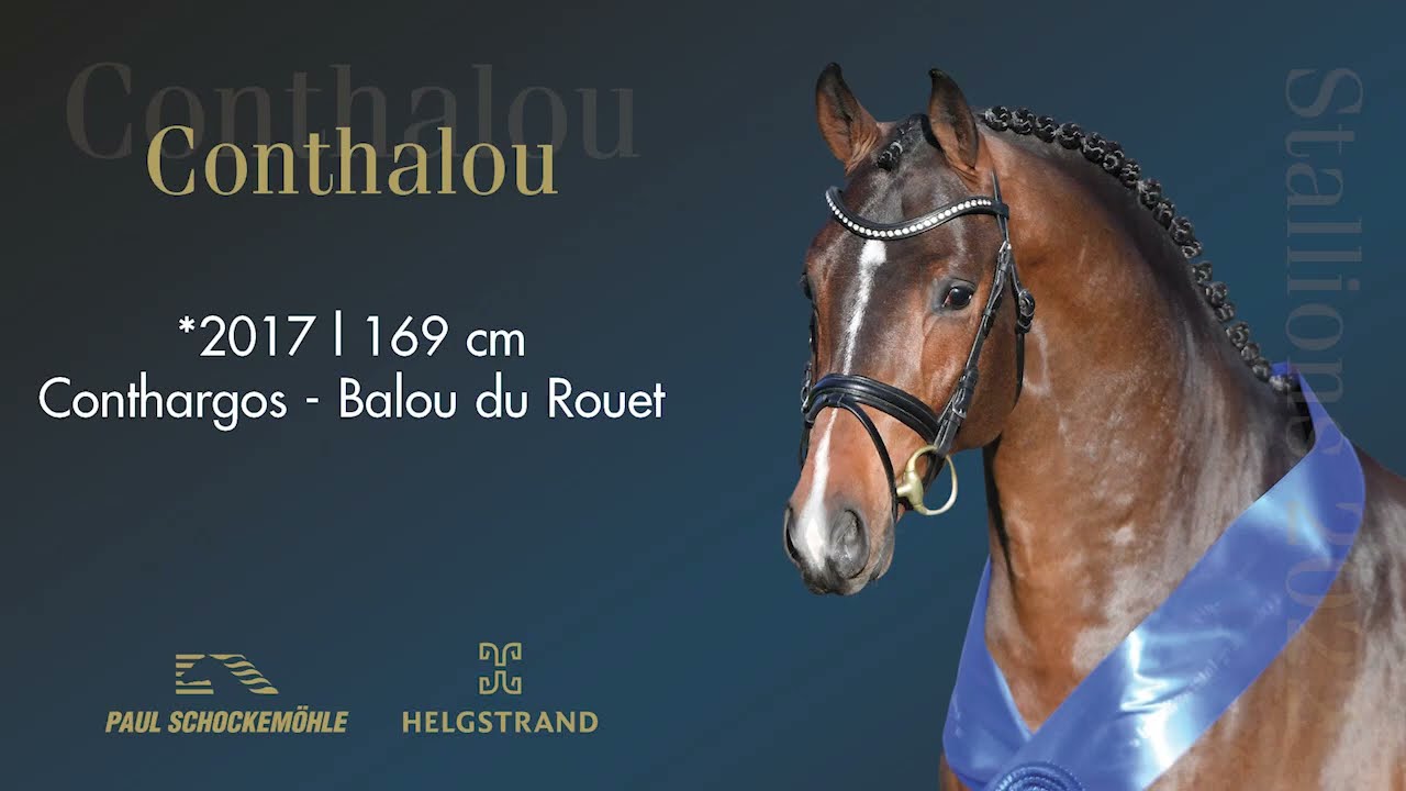 Conthalou - Jumping Collection Schockemoehle & Helgstrand 2022 (ENG)