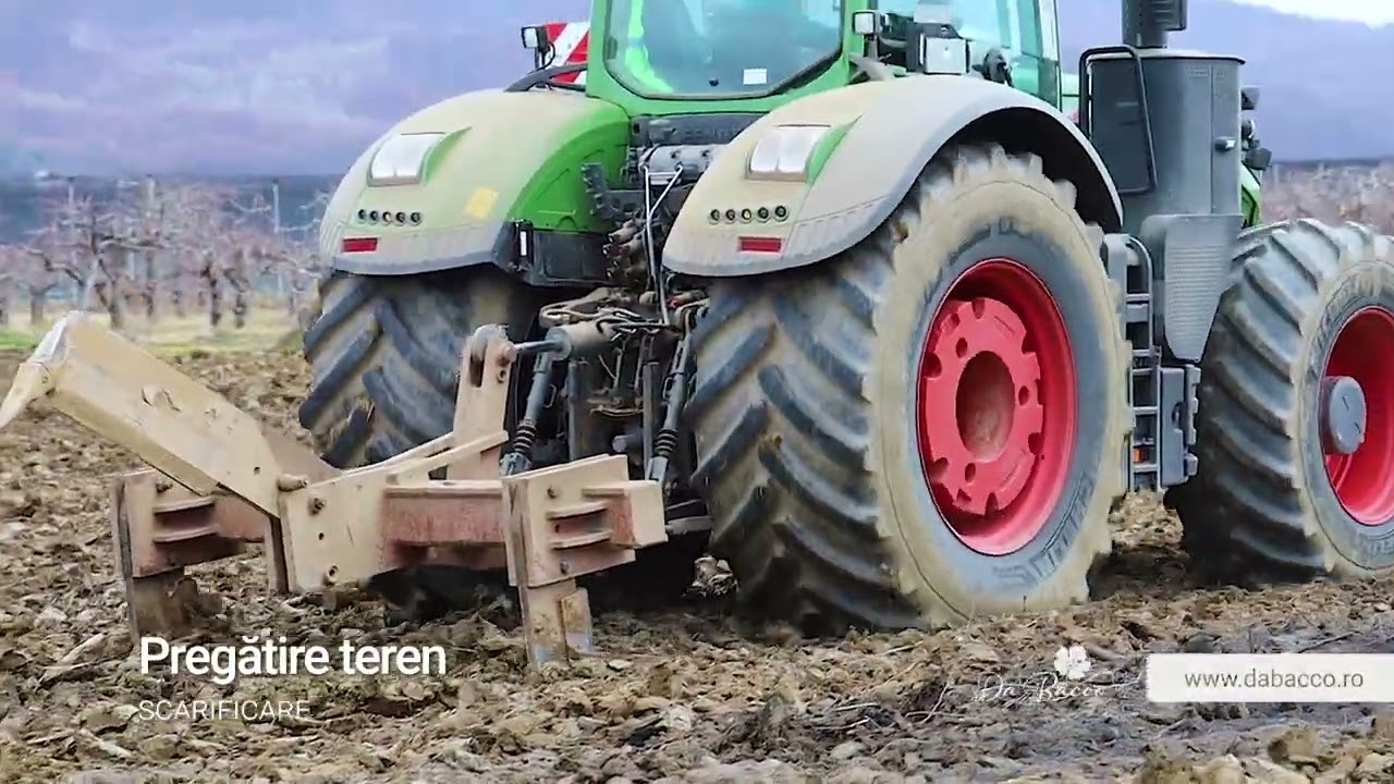 Da Bacco - Scarificare teren | Lucrare esențială pentru pregătirea terenului