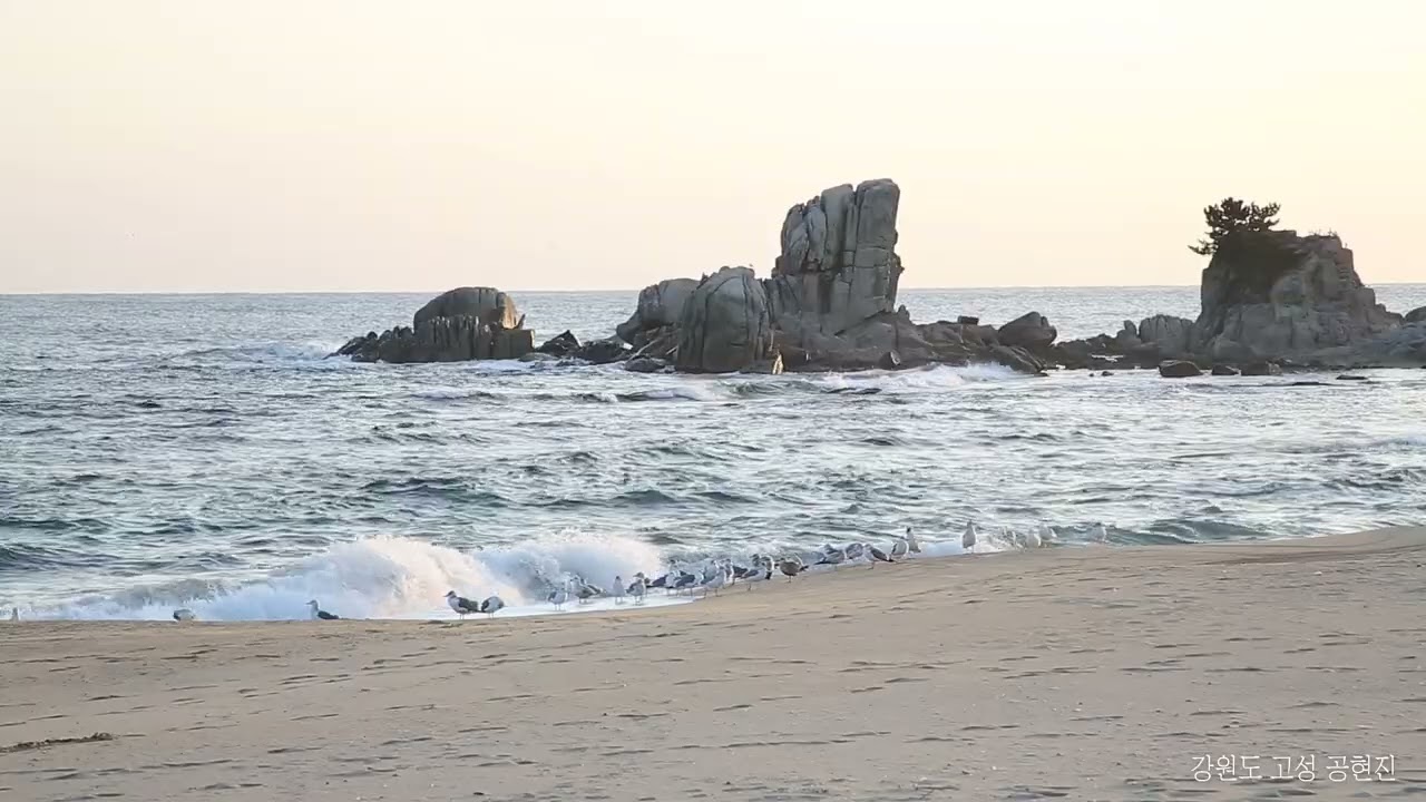 강원도 고성 공현진#고성여행#고성일출#공현진일출#공현진해수욕장#공현진아침#동해바다#파도#고성바다#공현진바다#겨울바다#아침바다#파도소리