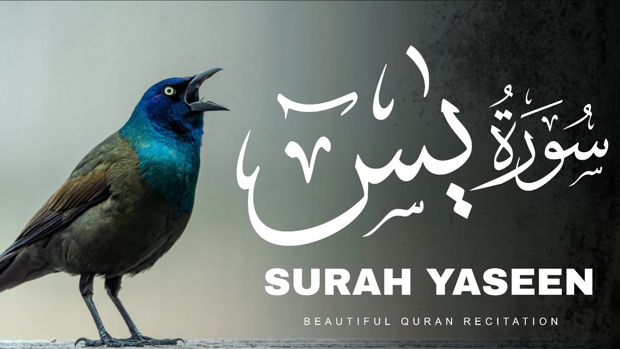 Surah Yasin (Yaseen) سورة يس Heart Touching & Relaxing Quran Recitation Most Beautiful Voice