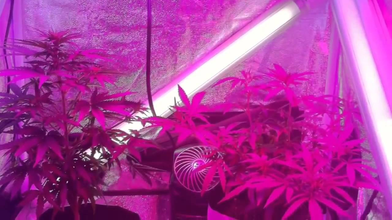 Led 90w UFO l&agrave;m được g&igrave; nhỉ :D