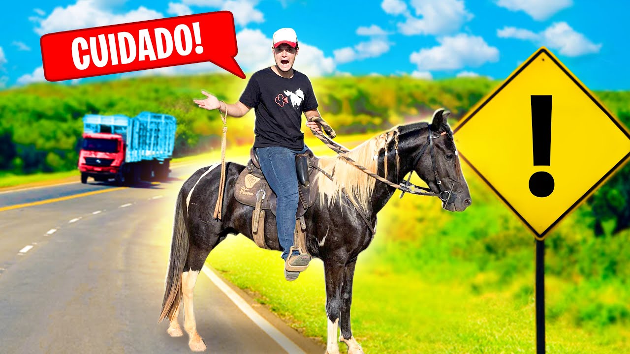 PERIGO !! CAVALO na RODOVIA