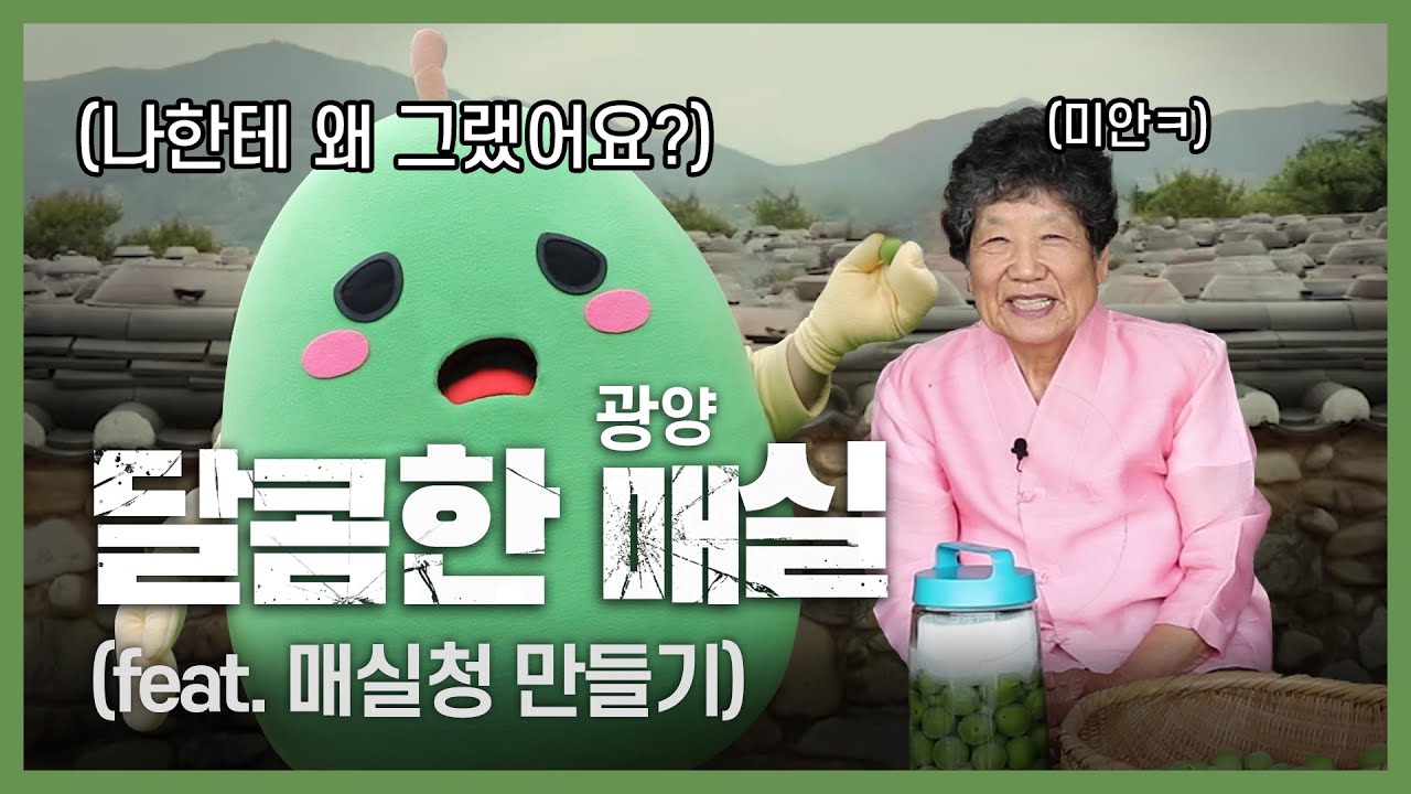1일 2깡 실천 홍쌍리 명인과 함께한 매실청담그는법 #광양시 #매돌이