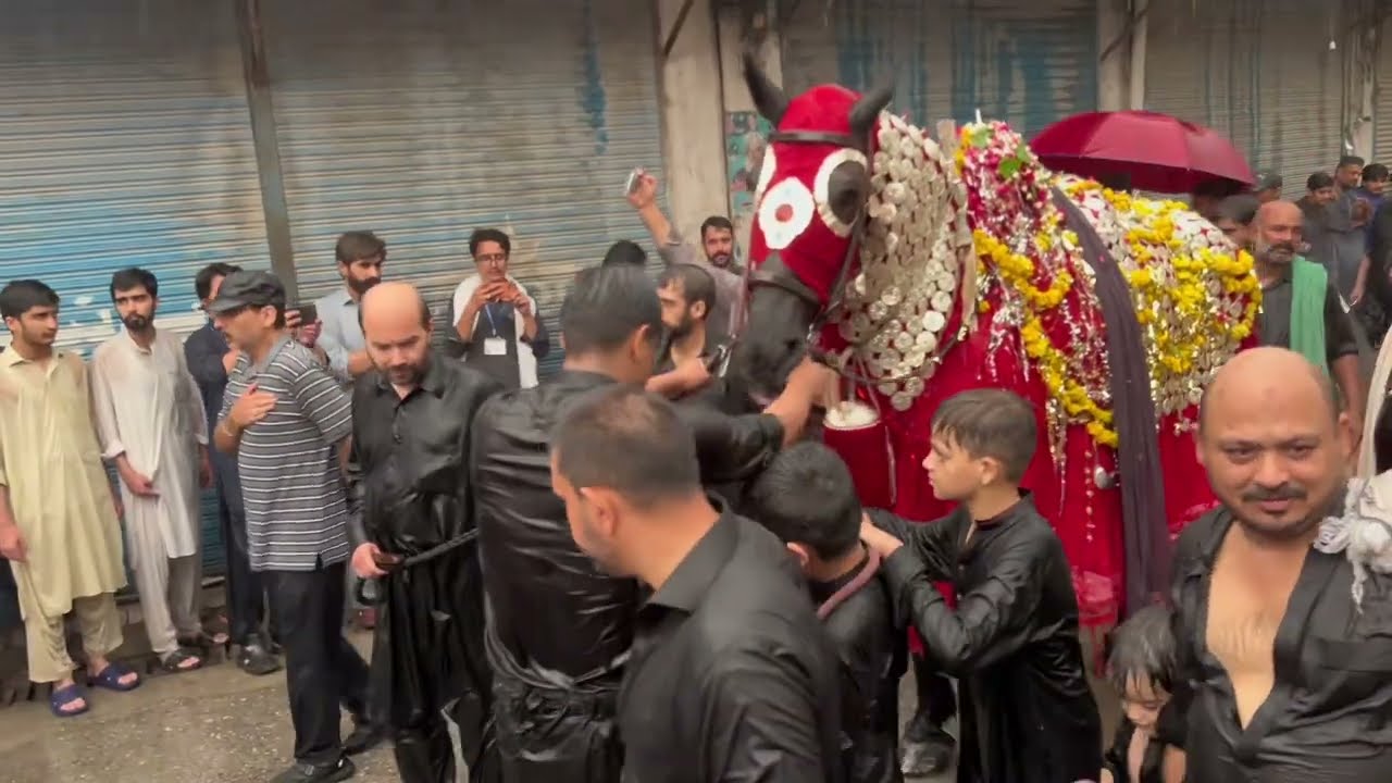 SHAHADAT-E-IMAM HUSSAIN IN KARBALA.Jaloos Zuljanah Imam Bargah “HAIDER SHAH”2024.
