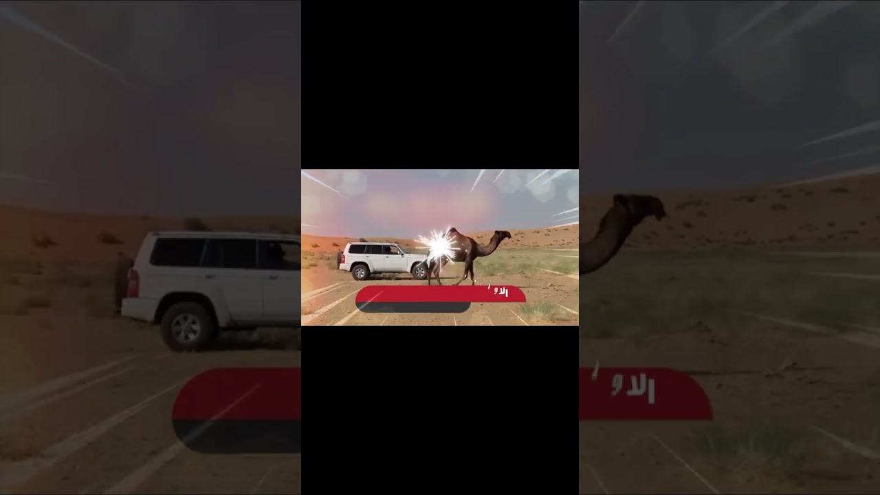 فلم الوثائقي مزاين قبيلة بني رشيد للنسخه الثانيه لعام ١٤٤٥هـ