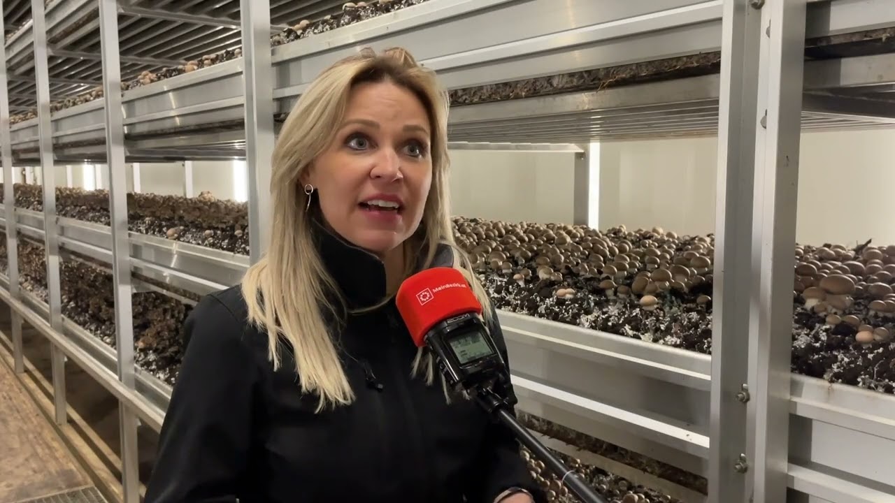 Tiroler Bio Pilze in Mils