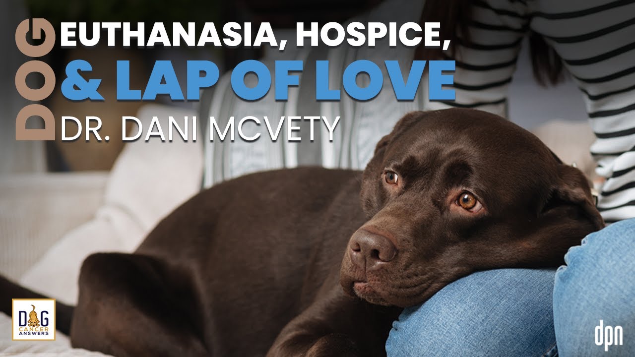 Dog Euthanasia, Hospice, and Lap of Love | Dr. Dani McVety