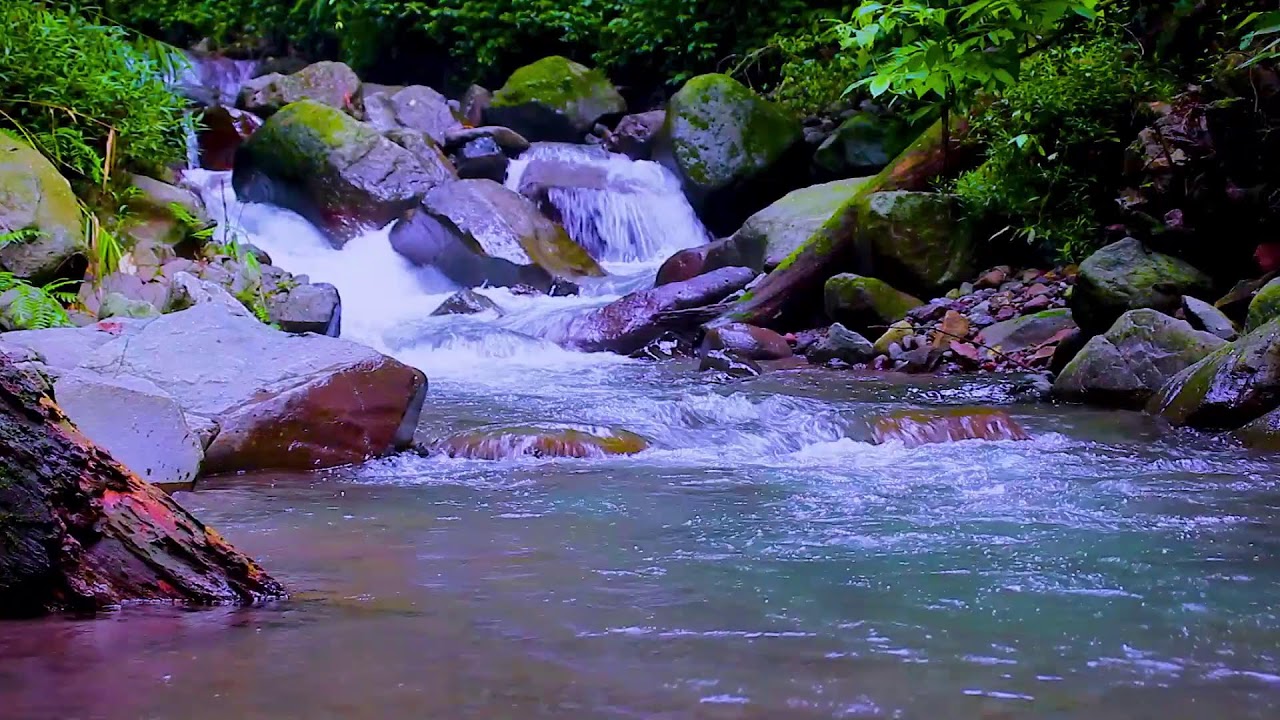 Mountain Water Flow in Deep Forest | 8 Hours White Noise for Sleep