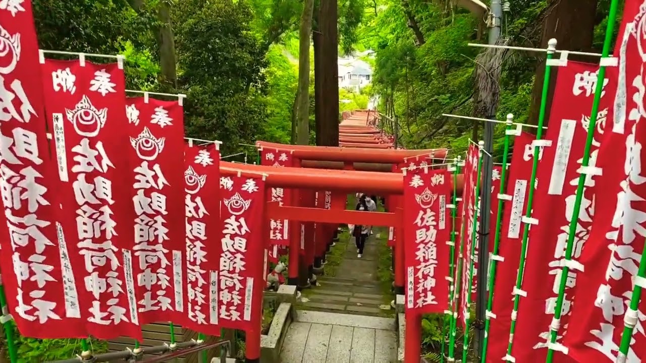 Sasuke Inari Jinja #onedaytrip #kamakura