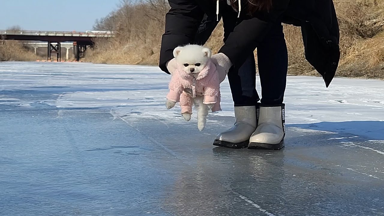 빙판을 처음 밟아 본 루퐁이가...ㅋㅋㅋ