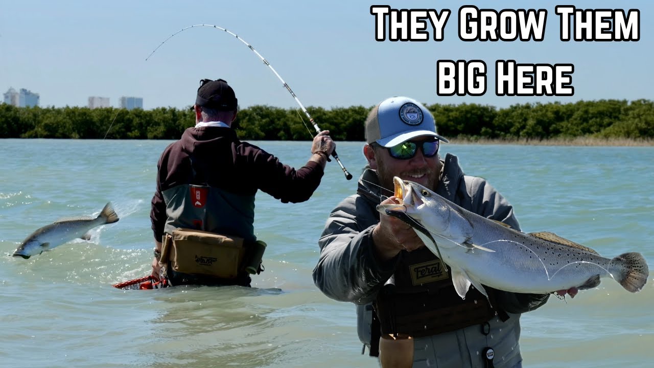 Wade Fishing for Trophy Size Speckled Trout! **We Did It AGAIN**