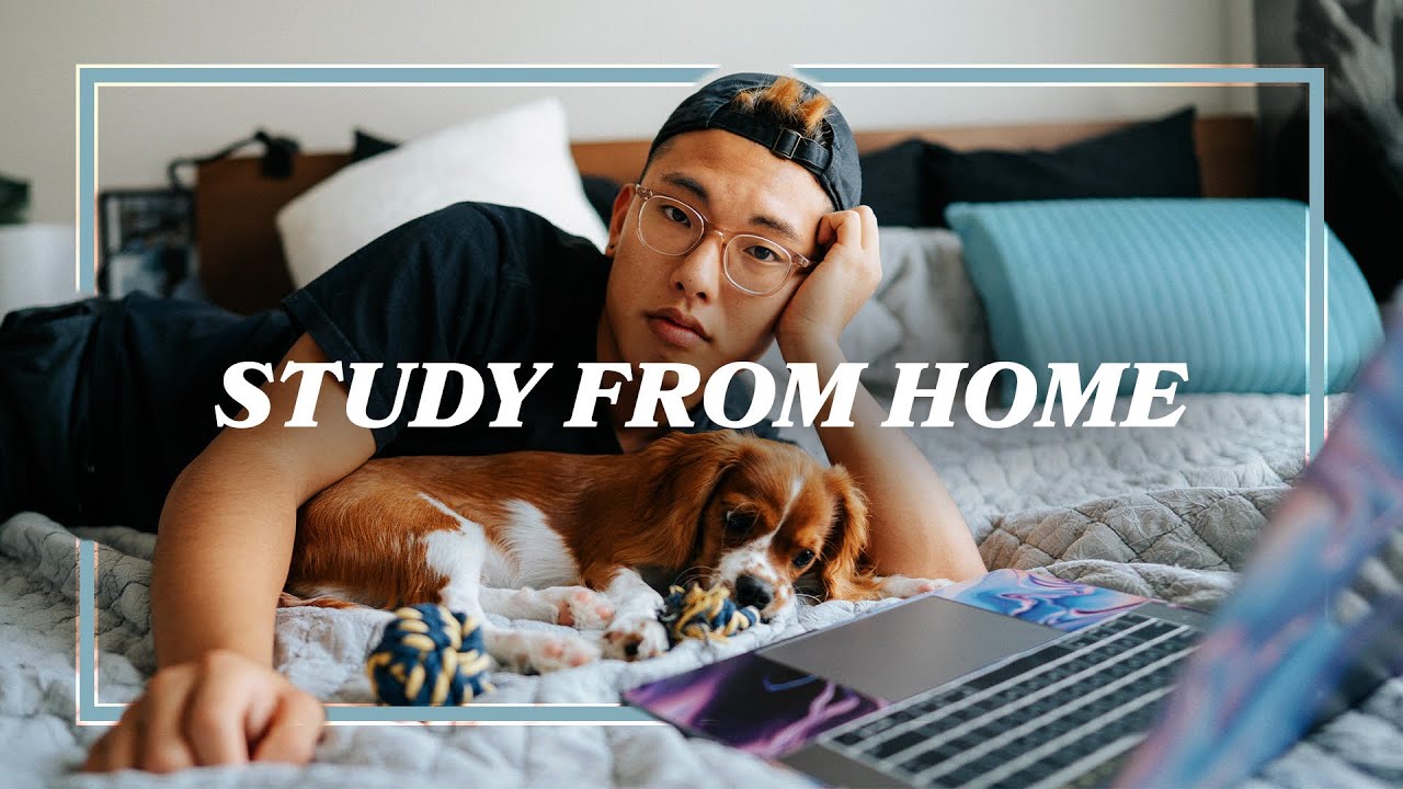 🧠: How to Study for an Online Exam