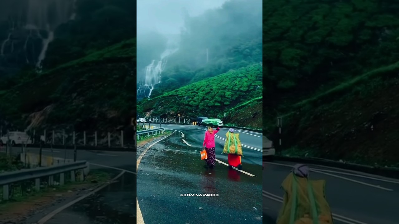 idukki kerala 🍃💚 #idukki #wayanad #kerala #keralatourism #tourism #nature #naturephotography #shorts