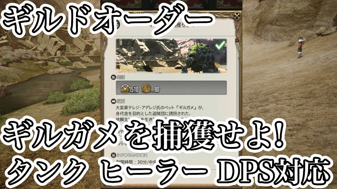 【FF14】ギルドオーダーギルガメを捕獲せよ!をタンクヒーラーDPSで挑戦【初心者入門 パッチ4.5】