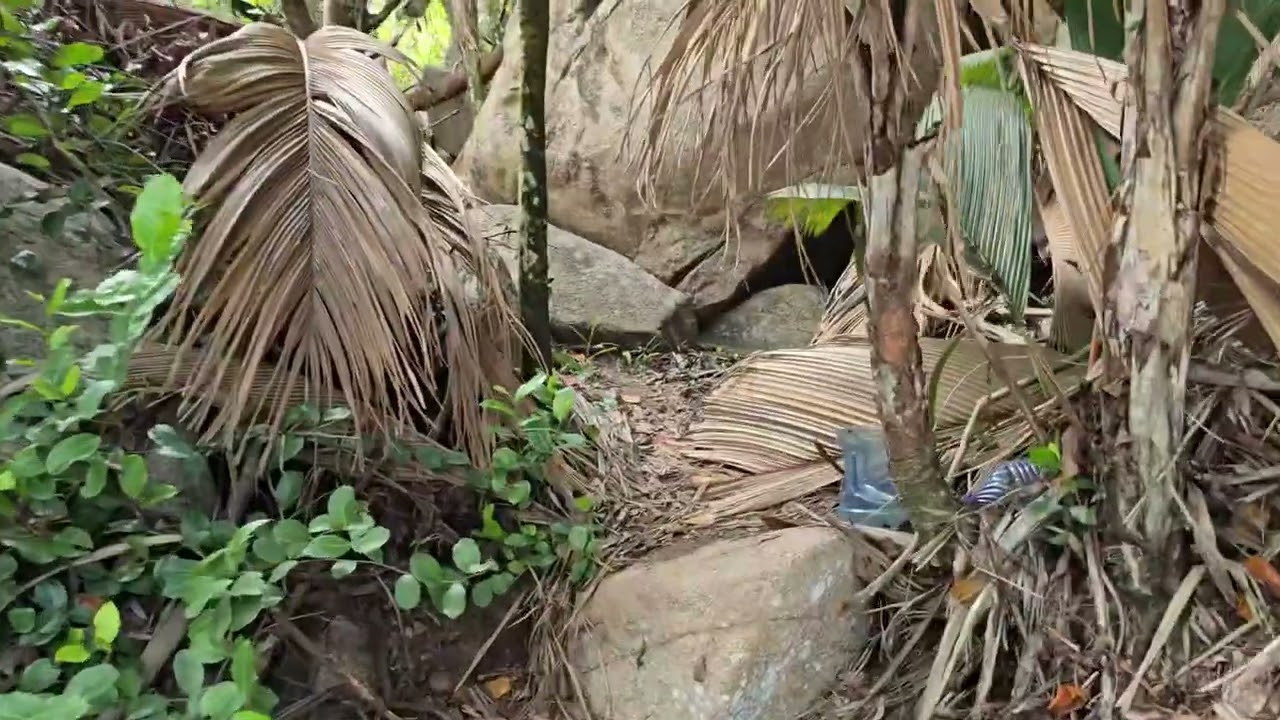 Trail behind 