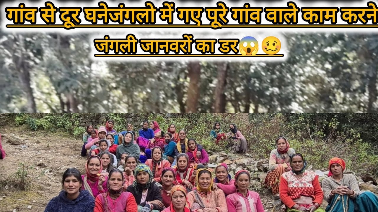 गांव से दूर घने‌जंगलो में गए काम करने (मजबूरी 🥲) जंगलों के बीच जंगली जानवरों का डर 😢😰#daliyvlog 