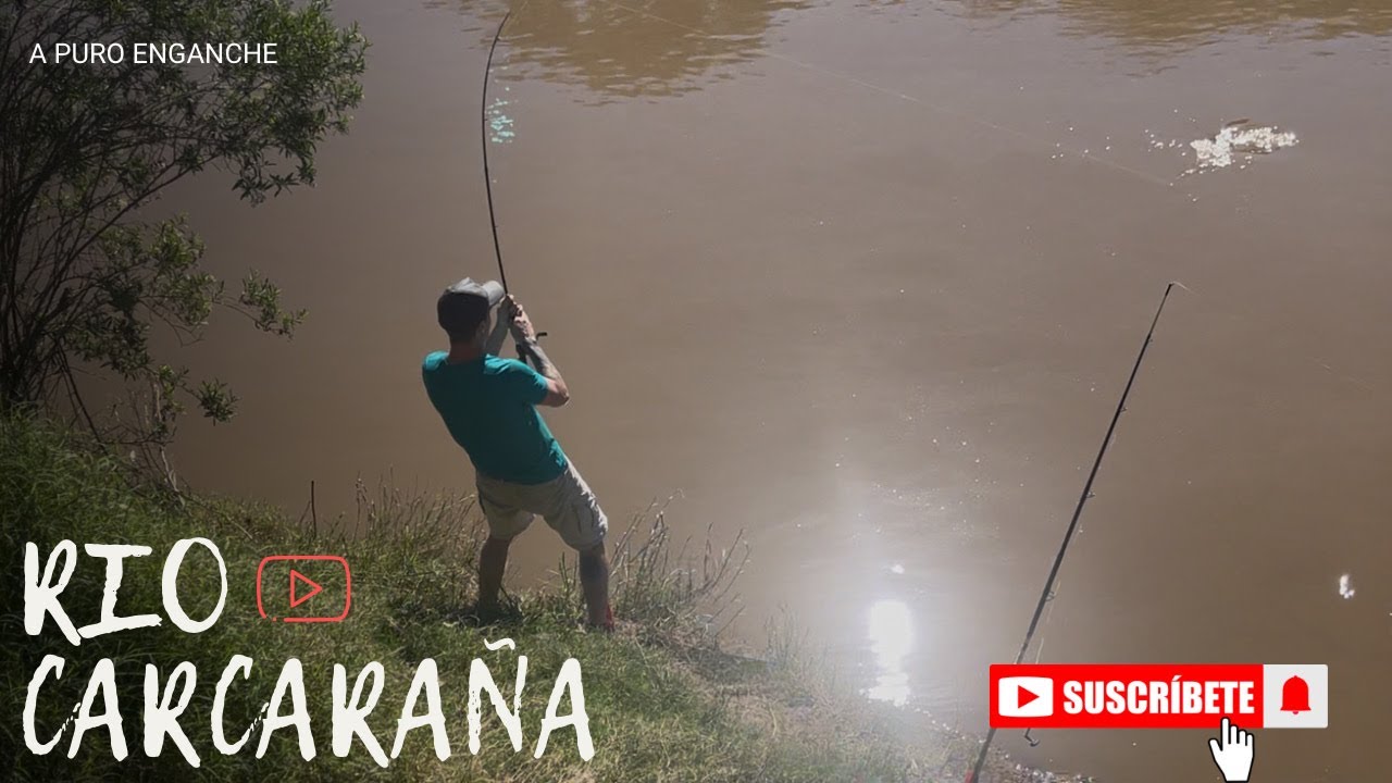 Pesca en el RIO CARCARAÑA