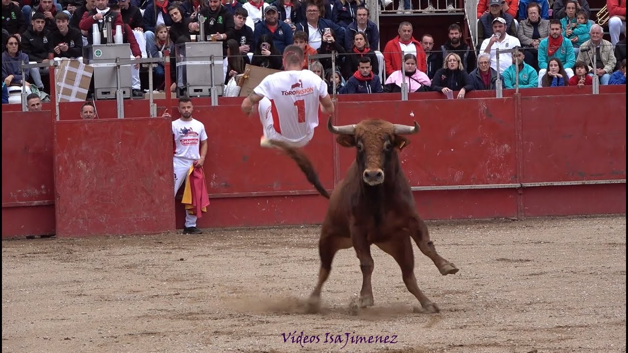 Ágreda (Soria)- 29/09/2025 - Concurso de Recortes - HD