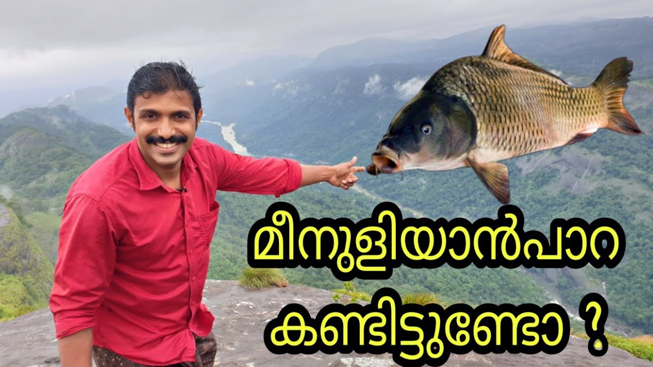 Kerala’s best Adventurous tourist place Meenuliyan Para