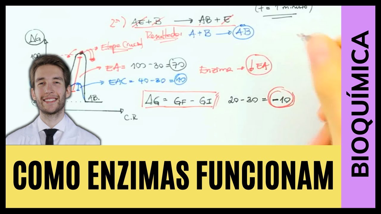 COMO ENZIMAS FUNCIONAM?