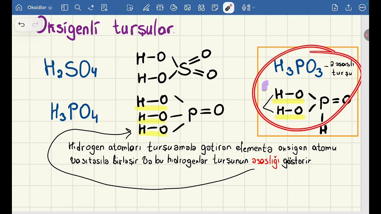 Turşular 