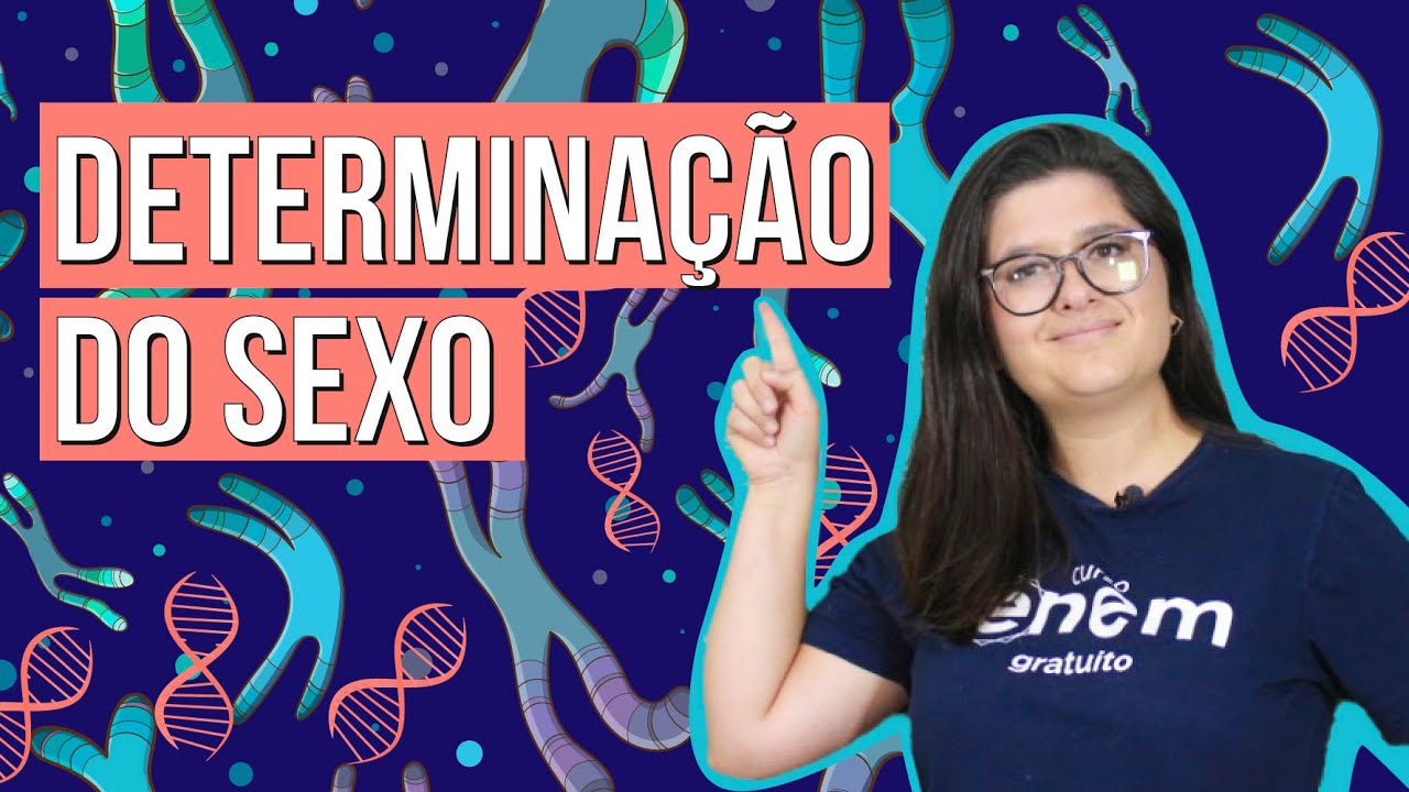CROMOSSOMOS E A DETERMINAÇÃO DO SEXO BIOLÓGICO (GENÉTICA) | Resumo de Biologia para o Enem