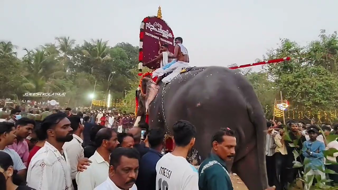 കല്ലടത്തൂർ പൂരം 🥰🔥#pooram2026 