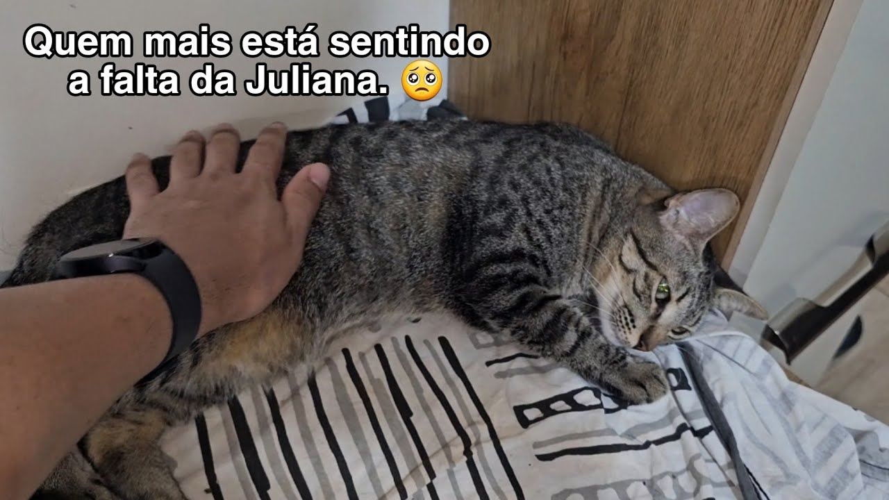Tenho que compartilhar esse MILAGRE com vocês,  pena que não é por um bom motivo.🥺 #VLOG