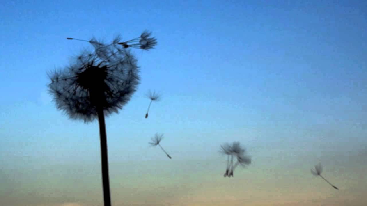 Ryim - Memories In Blue