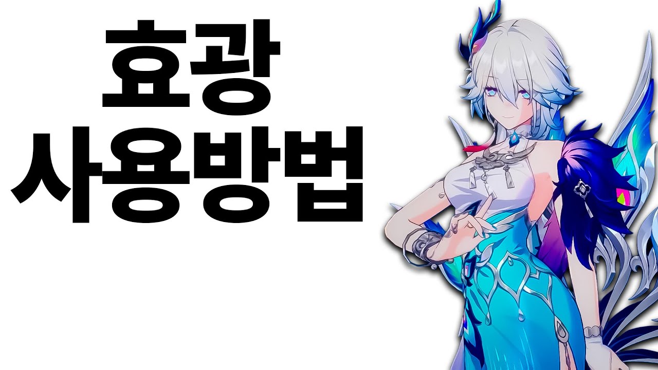 뉴비를 위한 효광 사용 방법