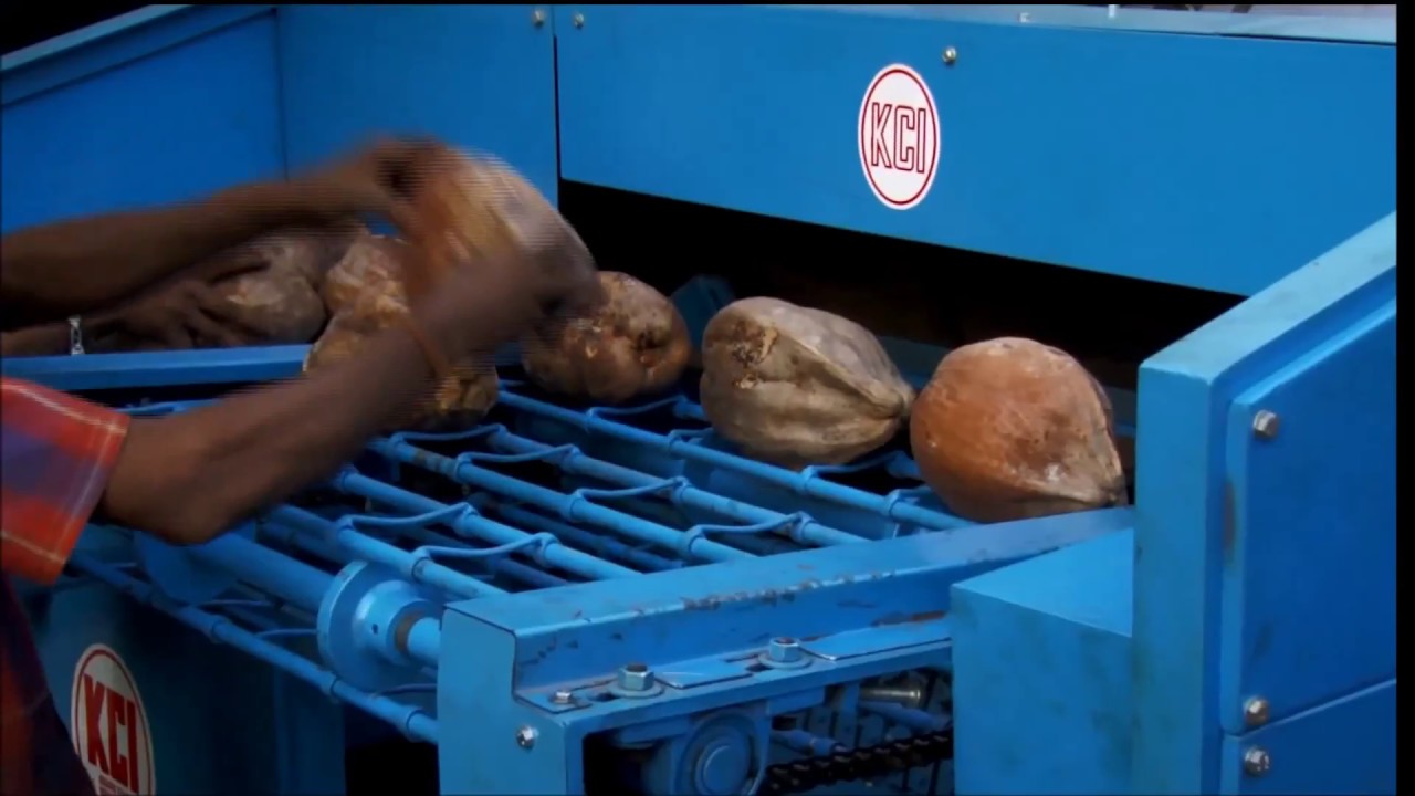 Conveyor Type 7.5 HP/5 HP COCONUT DEHUSKER MACHINE (9791555456,9600907456)