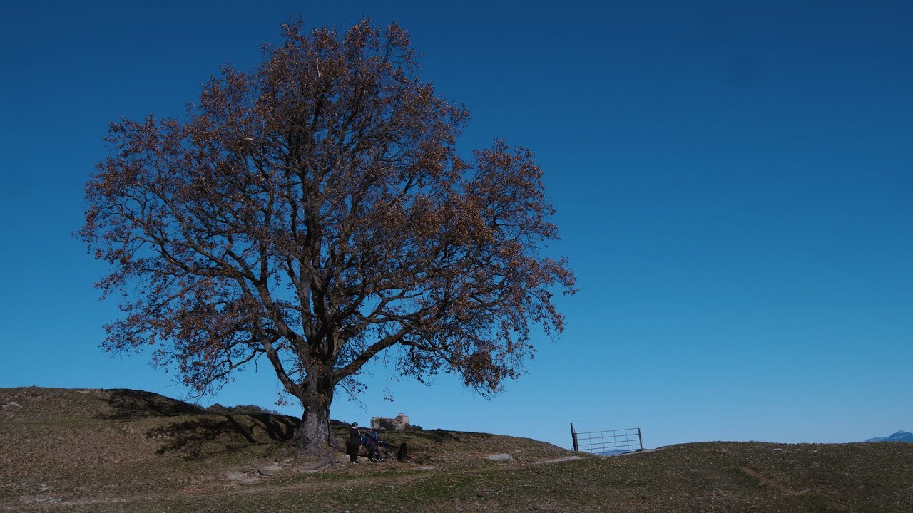ERÈMIA - Soledats compartides en el món rural [TRÀILER]