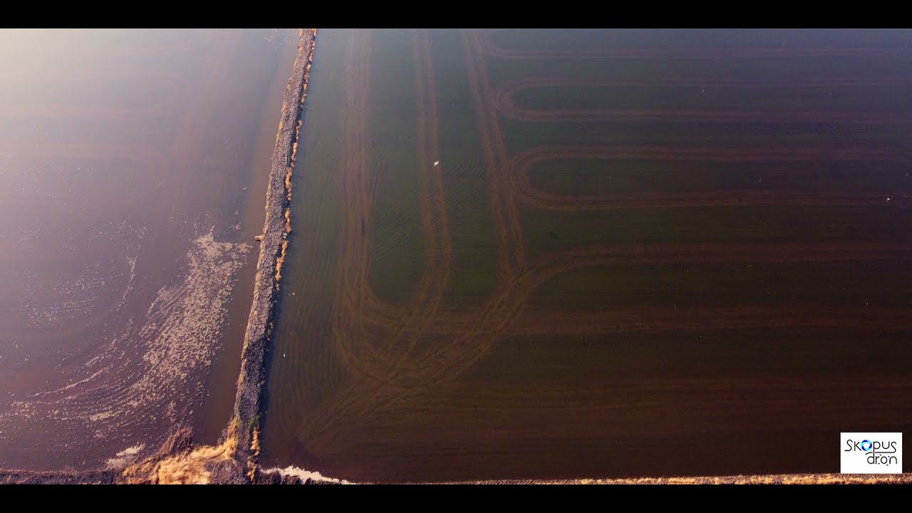 Parque Natural de la Marjal de Pego-Oliva a vista de dron