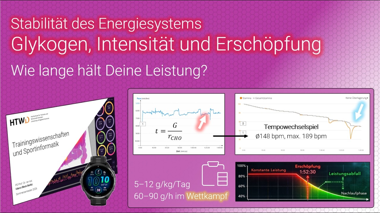 Wie lange hält Deine Leistung? Glykogen, Energieverfügbarkeit und Leistung einfach erklärt