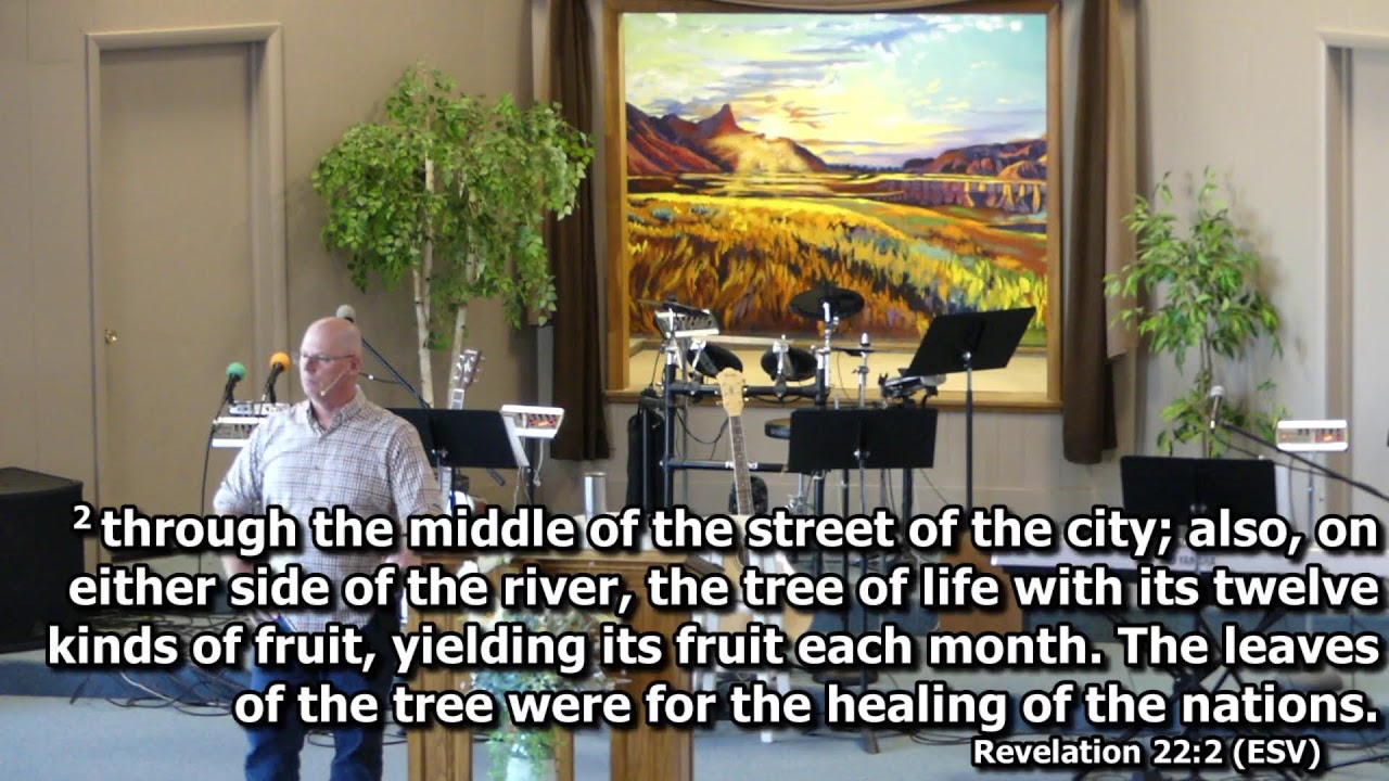 River Of Life