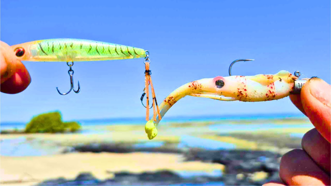 Are These 2 LURES All You Need? | LANDBASED Flats Fishing