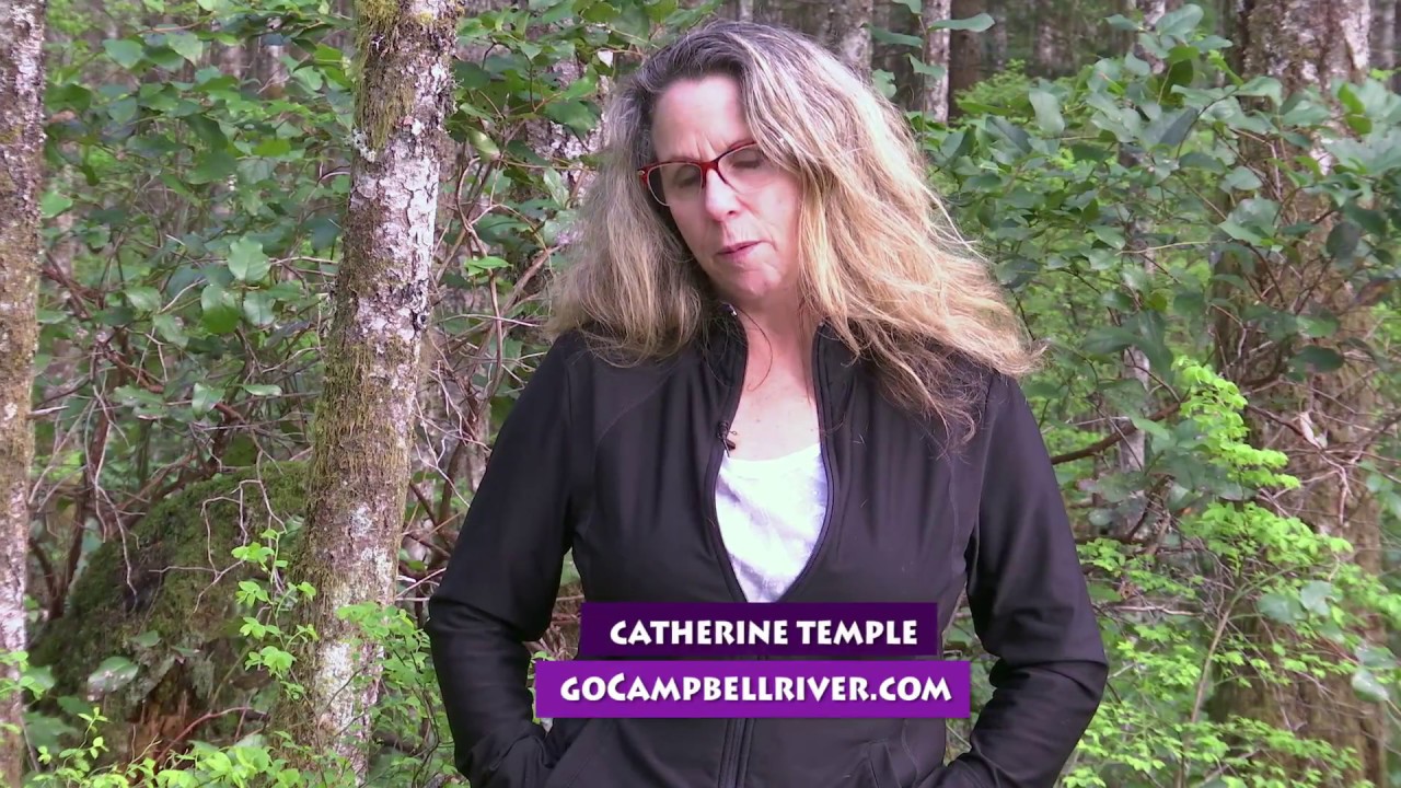 Top 5 Hikes Around Campbell River