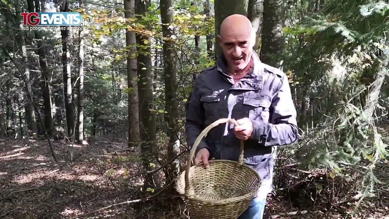 Funghi facili per Lucio Gardin in Trentino.