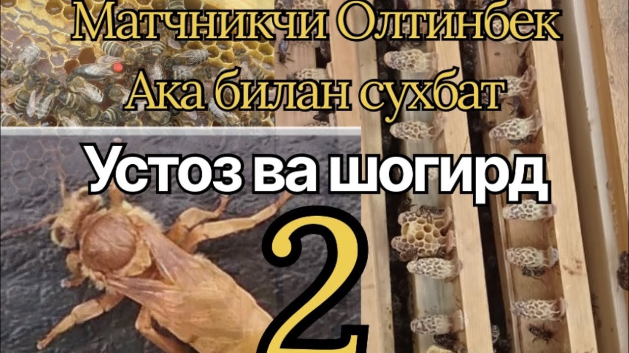 Она ари чикариш 👌