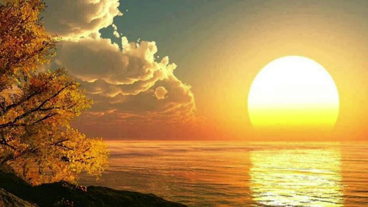 Meditação de Thetahealing - Downloads para tratamento da Ansiedade e Depressão