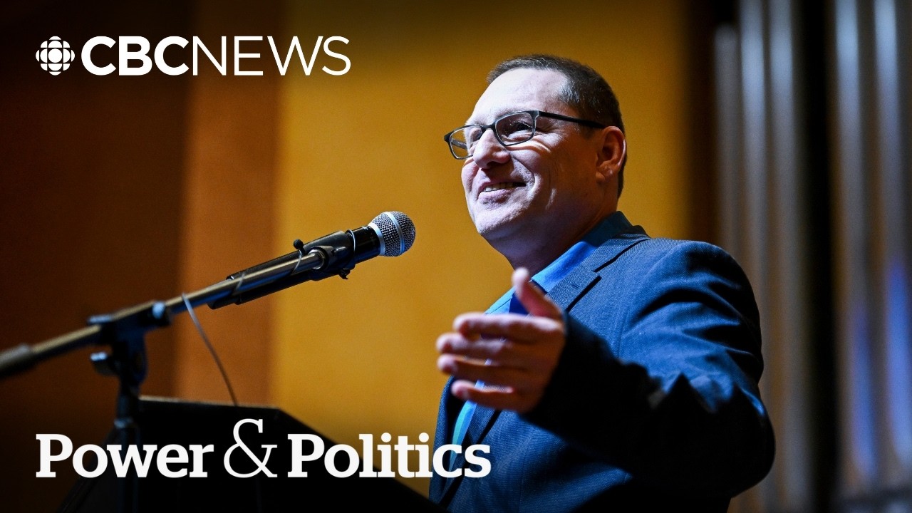 Could Avi Lewis divide or unite the NDP? | Power & Politics