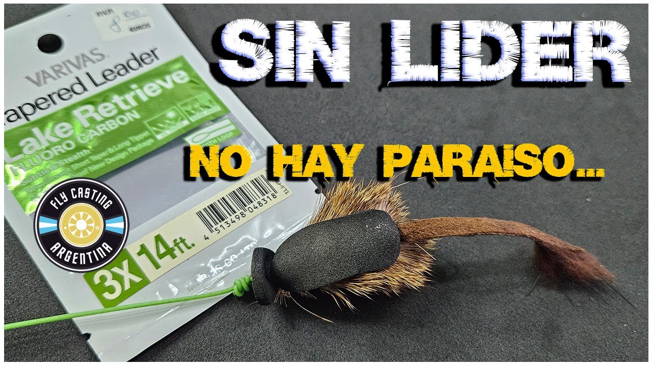 EL LIDER O LEADER DE MOSCA CONCEPTO / PARTE 1