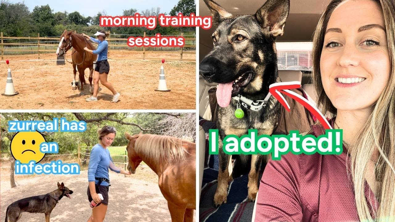 Equestrian SUMMER morning routine + I adopted!