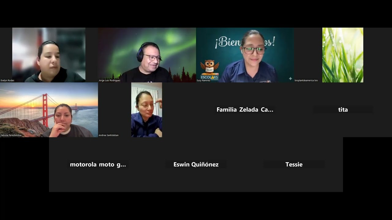 Papás Básicos