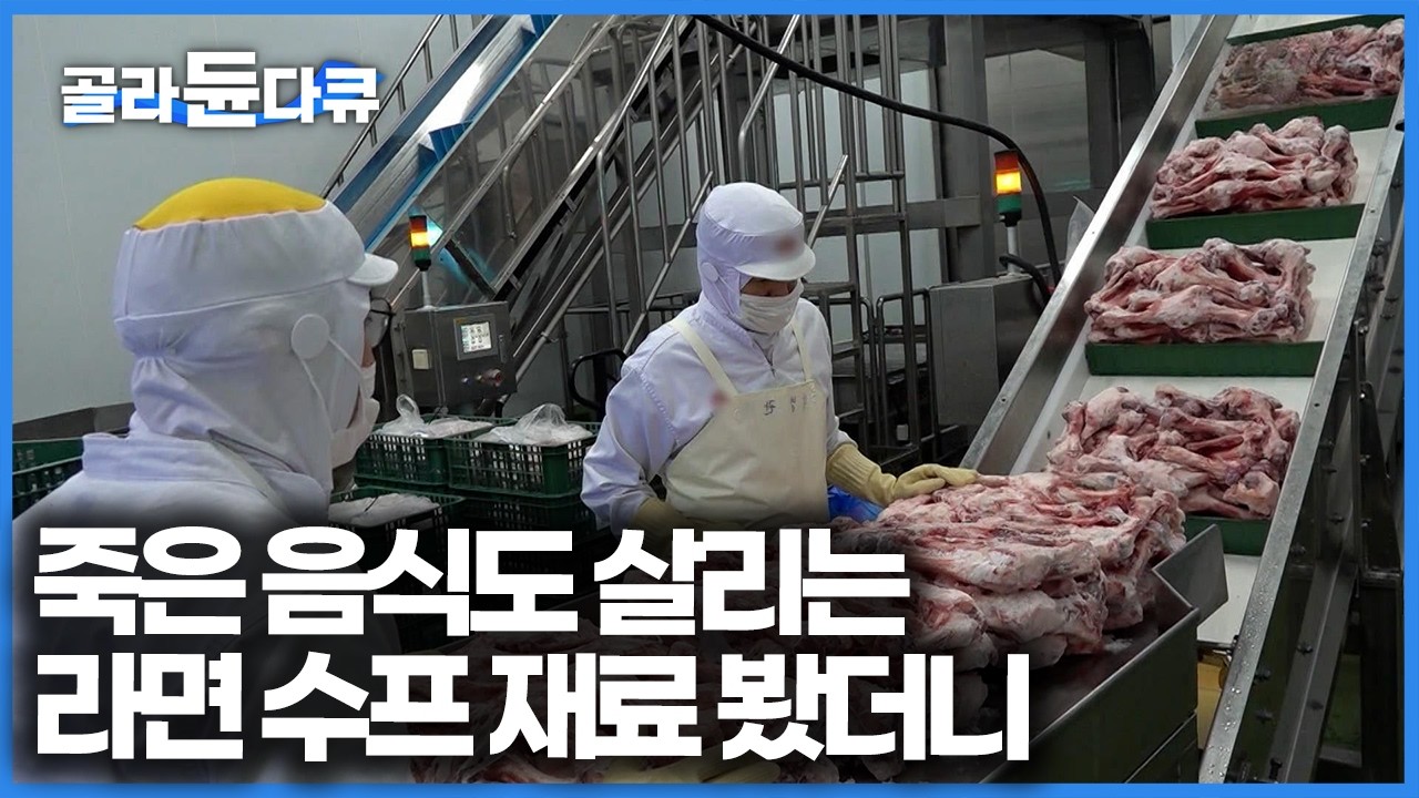평생 한 가지 음식만 먹으라면 편집자는 라면 먹겠습니다. 한국인은 일주일에 평균 4번 먹는다, 하루에 20만 개 라면 생산 공장｜극한직업｜#골라듄다큐