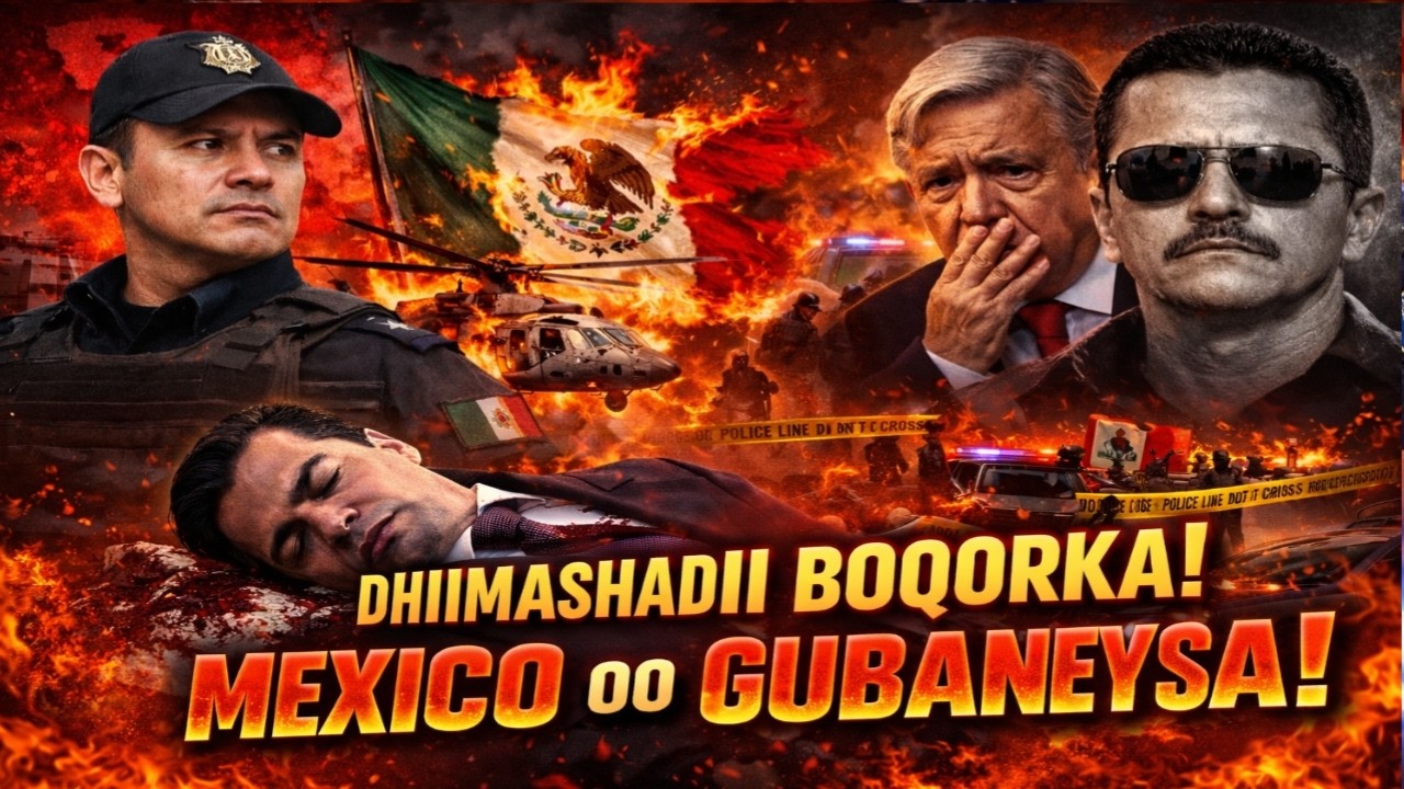 DEG DEG MEXICO OO GUBANAYSA, DRONESKII QARXAYAY & BOQOLAAL DHIMASHO AH * HUBKA CULUS