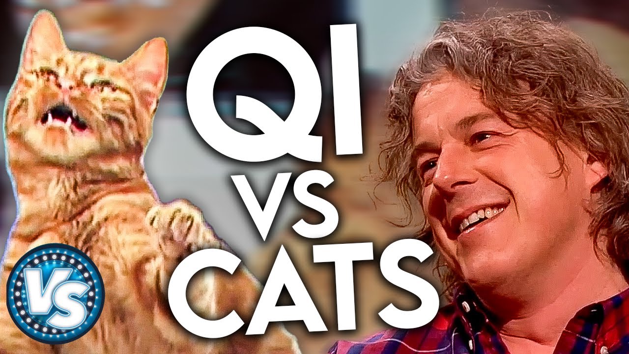 QI vs CATS! Funny and Interesting Trivia!