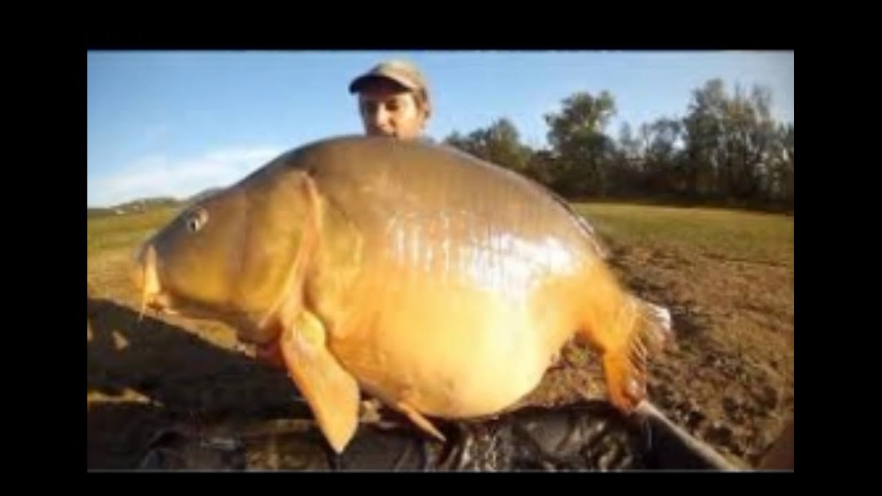 Celebrul lac din Franța - Lac de St Cassien, France  +35 kg