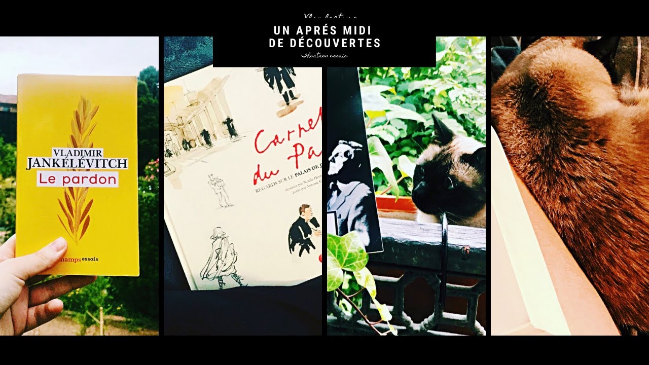 Un après-midi lecture (Vlog Lecture #12)